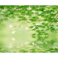 01-9Q-自然风景-065-M