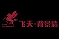 广州飞天建材科技有限公司