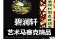北京碧澜轩技贸有限公司