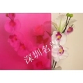 透明系列JYT0313