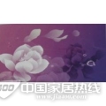 夏花JX-161 夏花JX-161