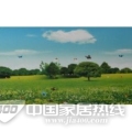 原野春梦JX-216 原野春梦JX-216