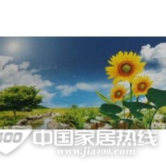 自然山水JX-211