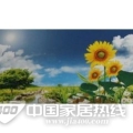 自然山水JX-211 自然山水JX-211