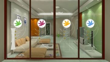 春夏秋冬