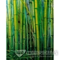 热熔玻璃 rr-0009