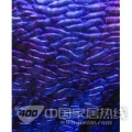 透明玻璃 LX560-1R