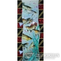 SF08-E026（金龙鱼）