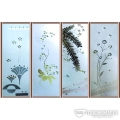 晶菱系列-4