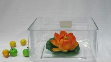 玻璃饰品-4