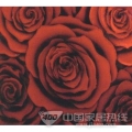 艺术玻璃火玫瑰