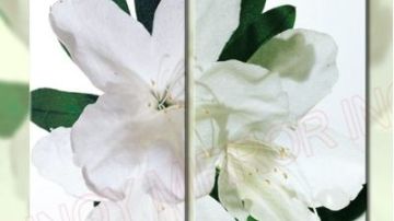 超白镜子，超白镜片