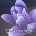 紫色绽放花蕾.