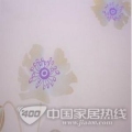 蒲公英