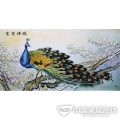 富贵祥瑞 bj-fgxr