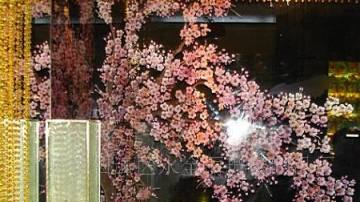 永全丽玻璃产品推荐-艺术刻雕玻璃