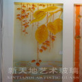 新天地玻璃产品推荐-新款背景-2013-1