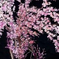琉璃宫玻璃产品推荐-艺术玻璃44