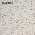 SLQ2669