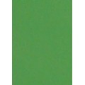 8883 又见绿源