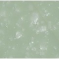 天香玉Q－8588