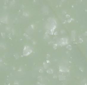 天香玉Q－8588