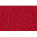 SJ517