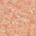 SY001