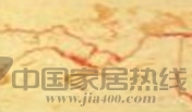 龙舌兰