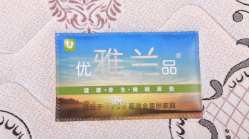 席梦思床垫子 天然椰棕环保3E棕弹簧天然乳胶床垫厂家批发保险柜