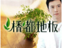 [楿都地板]广告语—“楿”溢康居，地板之都。