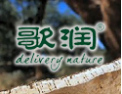 [歌润地板]公司竭诚欢迎海内外各界朋友前来考察、交流、合作！