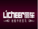 [丽车地板]丽车地板面向全国诚招经销商