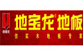 湖南省地宝龙装饰材料有限公司