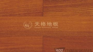 二翅豆