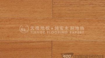 番龙眼(地热地板)