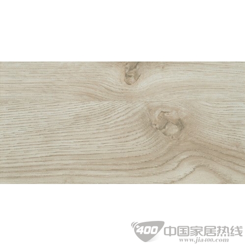 剑桥白栎 LY1216