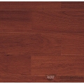 泰柚