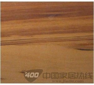虎斑