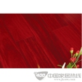 二翅豆-汉庭秋月-FLD8616