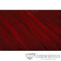 圆盘豆 潇湘妃子 FLD8605 圆盘豆 潇湘妃子 FLD8605