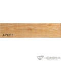 AY2010