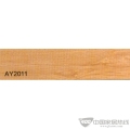 AY2011