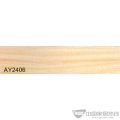 AY2406