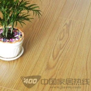 伏尔加白橡