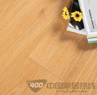 罗马假日WL08