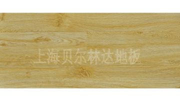 8803 布拉格浅橡