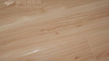 Dm305 红樱桃