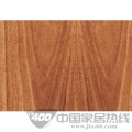 康家系列-1