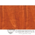 康家系列-2